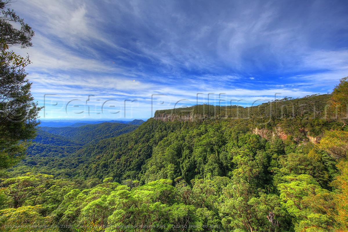 Peter Bellingham Photography Canyon Lookout - Springbrook National Park - QLD SQ (PB5D 00 4265)